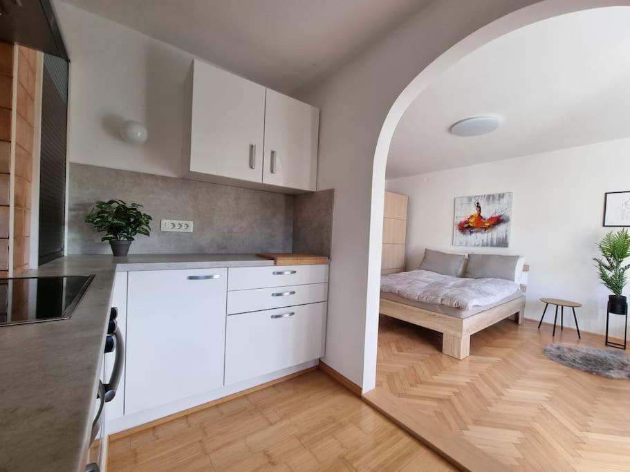 The Rowhouse Apartment Ljubljana - Free Parking Zewnętrze zdjęcie